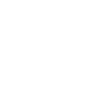 alvares-white logo